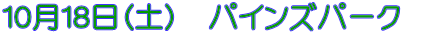 �P�O���P�W���i�y�j�@�p�C���Y�p�[�N�@