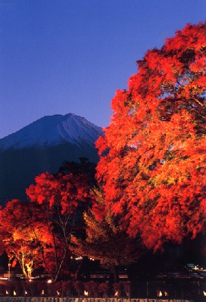 紅葉