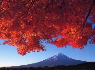 紅葉